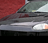 nuSHINE pAINT AND bODY-delsol4.gif