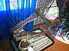 large cage for small animals-3k63p13l85q05p55x4b2pc4ac318ca271151c.jpg