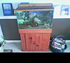 30gal Fish tank with stand-tank.jpg