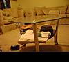 Selling Coffee table and 2 End table-dsc007511.jpg