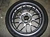 BBR RGR S2000 Fitment for AP2 Stock Wheels And Cash-turtle-cat-wheels-047.jpg